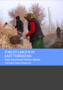 forced-labour-cover-page