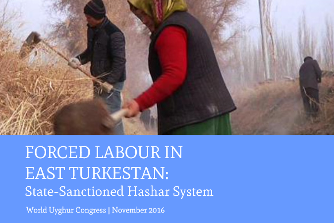 World Uyghur Congress Releases New Report on the Use of Forced Labour in East Turkestan