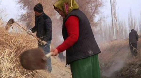 For Xinjiang’s Uyghurs, ‘Hashar’ by Any Other Name Still Means Forced Labor