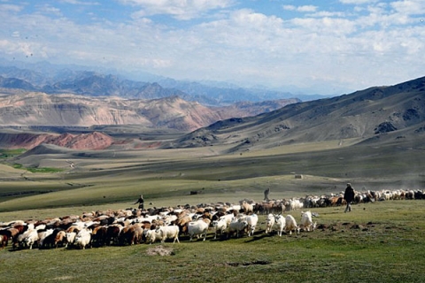 Authorities Urge Kyrgyz Herdsmen to Spy on Uyghurs in China’s Xinjiang