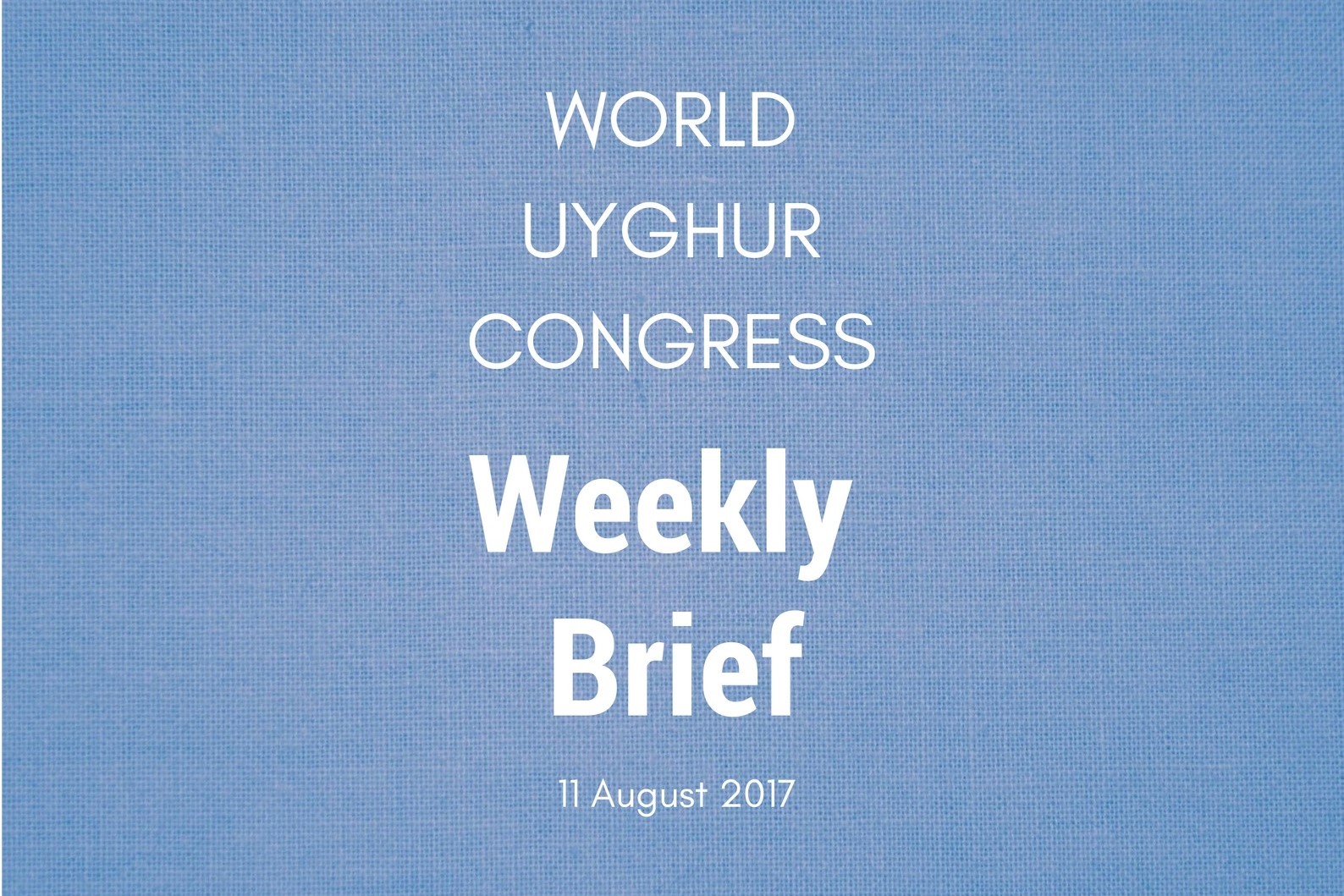 Weekly Brief August 11th