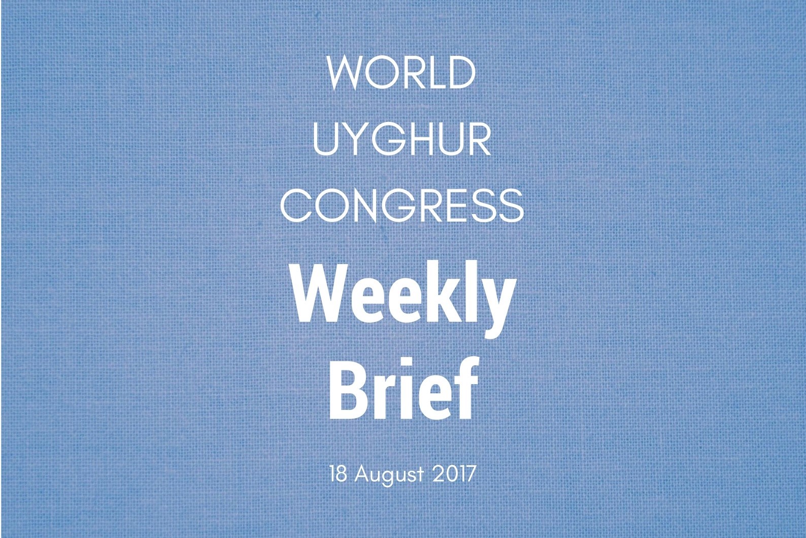 Weekly Brief August 18th