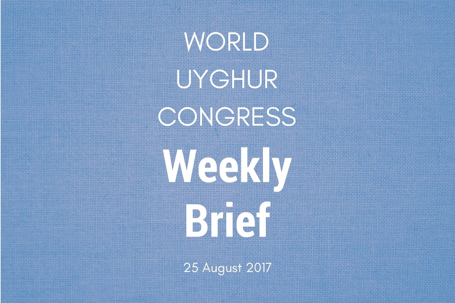 Weekly Brief August 25th