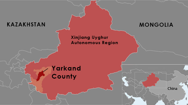 Uyghur Veterinarian Jailed For Treating Suspect Wounded in Xinjiang Violence