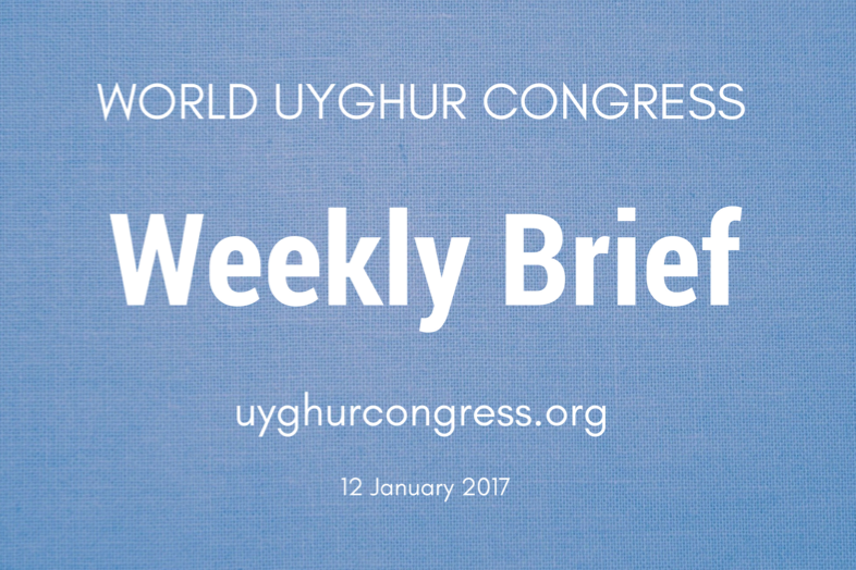 Weekly Brief January 12th