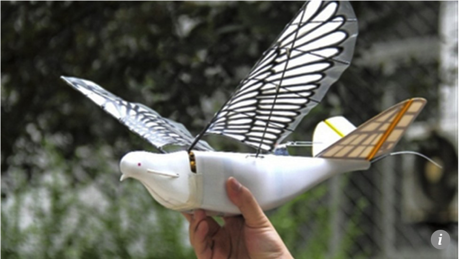 China takes surveillance to new heights with flock of robotic Doves, but do they come in peace?