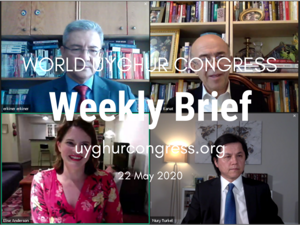 Weekly brief: 22 May 2020