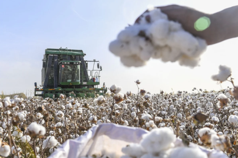 US farm brand John Deere at forefront of surging cotton machinery sales to Xinjiang, as human rights sanctions loom