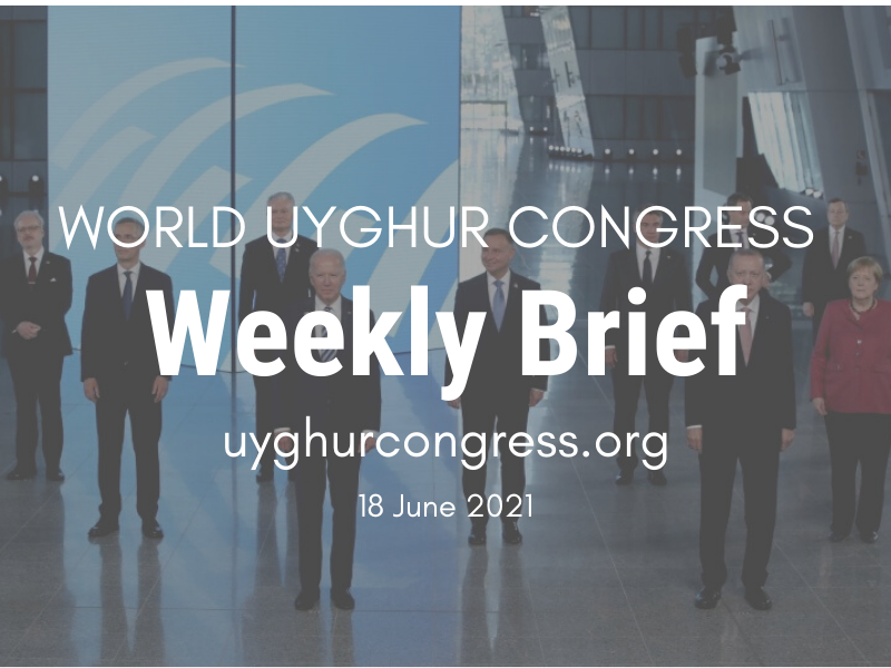 Weekly Brief: 18 June