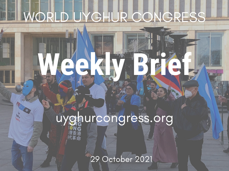 Weekly Brief: 29 October 2021