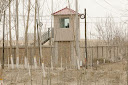 Darren Byler on Life in Xinjiang, ‘China’s High-Tech Penal Colony’