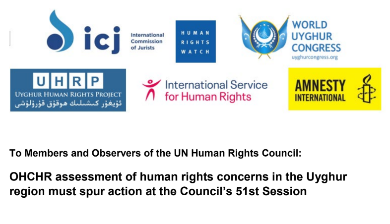 JOINT STATEMENT: CIVIL SOCIETY CALLS FOR JOINT ACTION AT THE UN HUMAN RIGHTS COUNCIL’S 51 SESSION