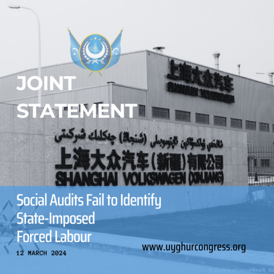 Joint Statement: Social Audits Fail to Identify State-Imposed Forced Labour